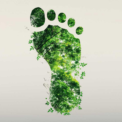 footprint