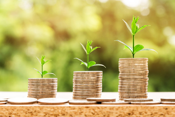 money eco growth
