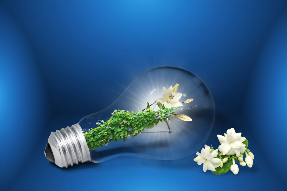 sustainability