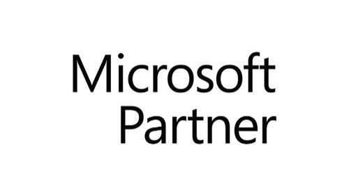 Microsoft Partner logo image