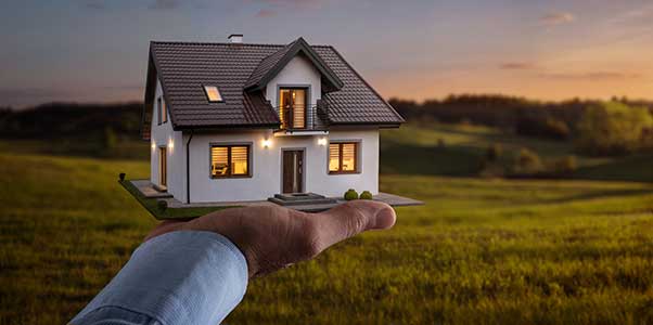 Anne Sendall Group Case Study Image