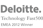 Deloitte Tech Fast 500
