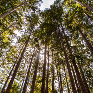 hp sustainability