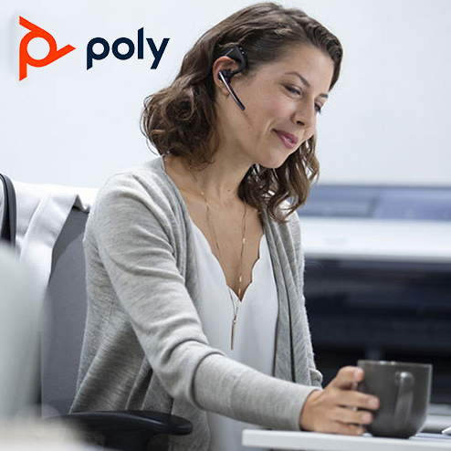 Poly Advisor