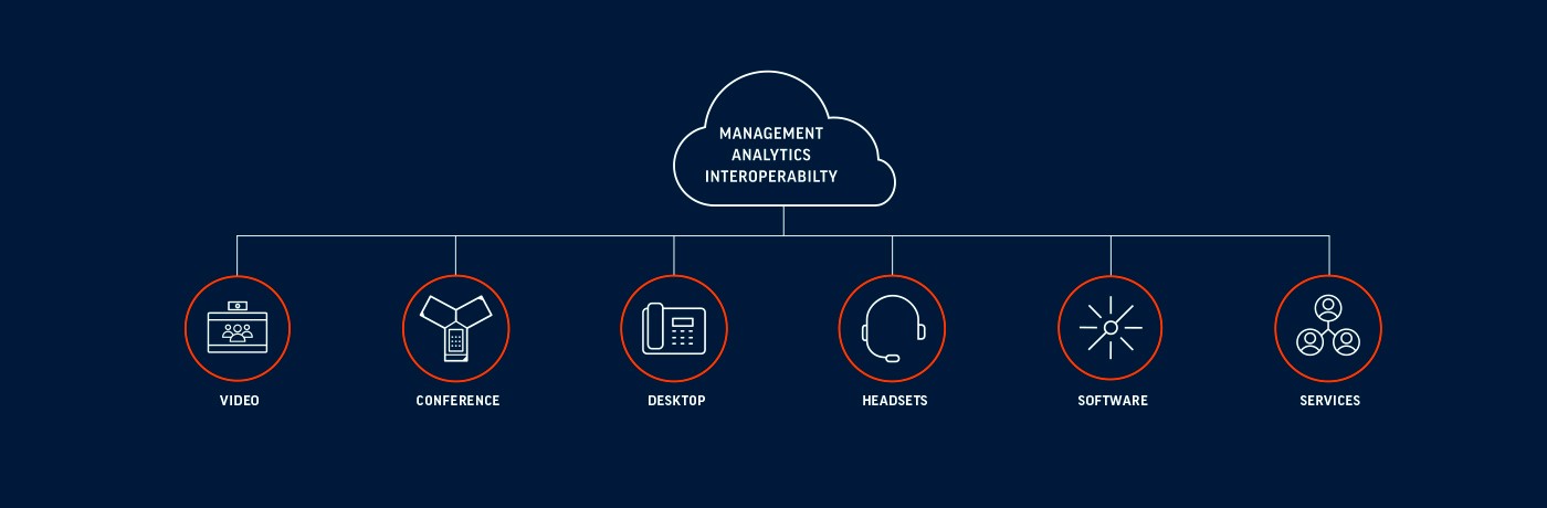 Poly management analytics