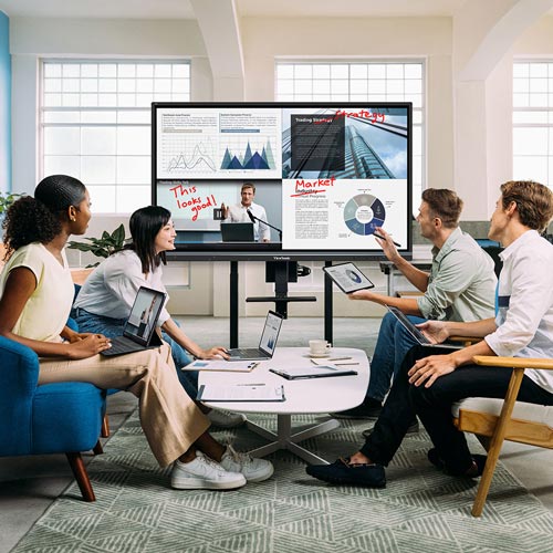 ViewBoard Interactive Display